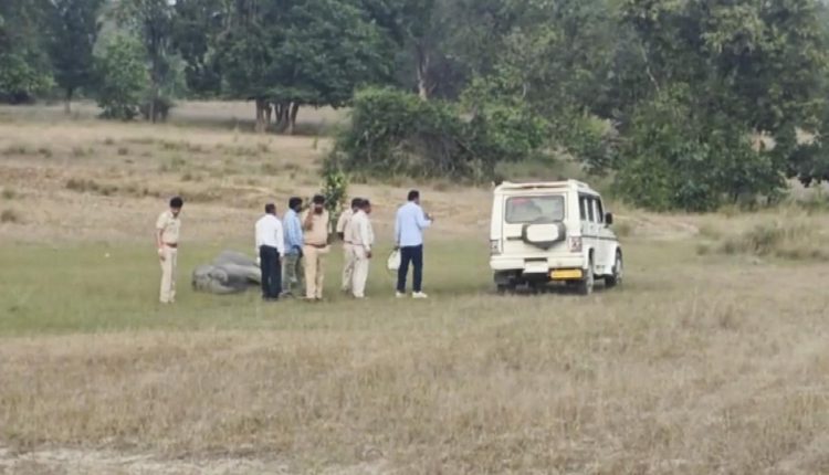 Bandhavgarh Elephant's Death
